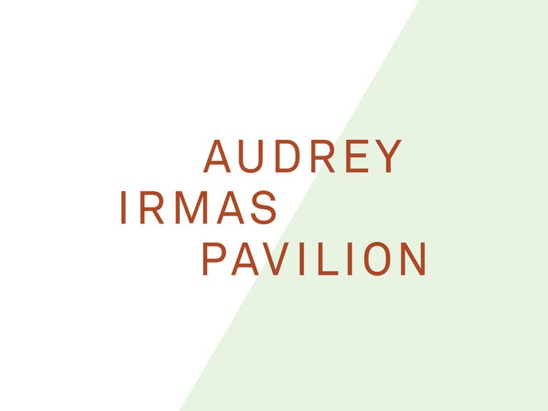 Audrey Irmas Pavilion