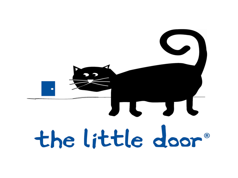 Primary image for The Little Door