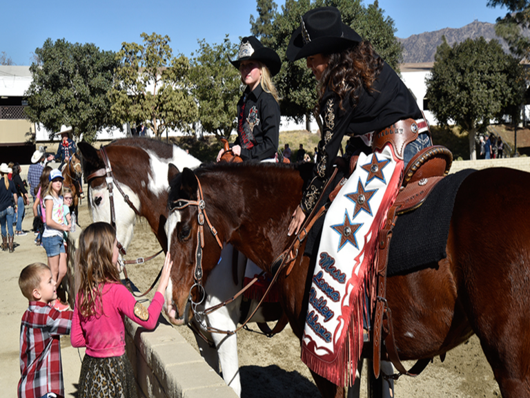 Tournament of Roses Equestfest at the LA Equestrian Center