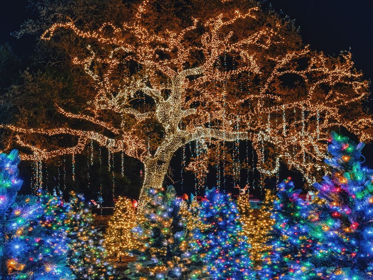 Christmas Trees at Holiday Road in Calabasas