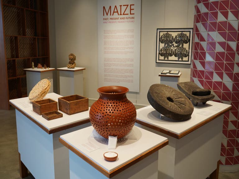 "Maize: Past, Present and Future" at La Plaza Cocina