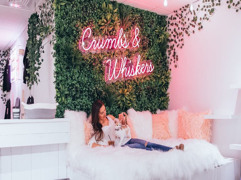 Crumbs & Whiskers on Melrose Avenue