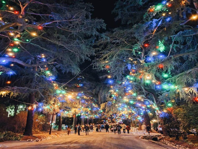 Christmas Tree Lane in Altadena