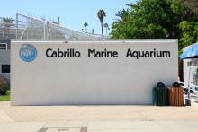Primary image for Cabrillo Marine Aquarium