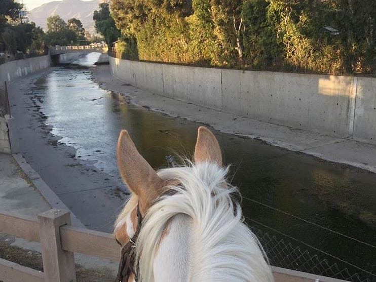 Los Angeles River | Instagram by @careaboutmypics