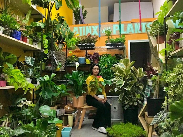 Latinx with Plants 2020