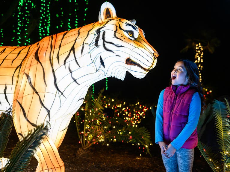 Tiger Terrace at L.A. Zoo Lights: Animals Aglow