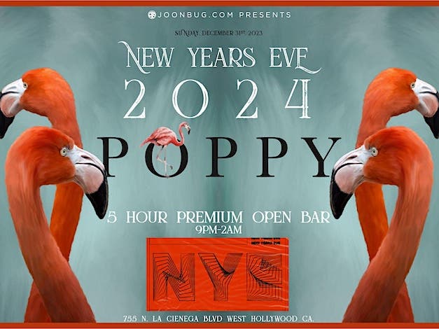 Poppy NYE 2024